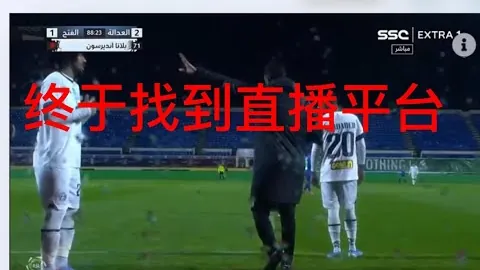 帕金斯盛赞特雷楊在尼克斯主场表现极佳，宛如归巢。