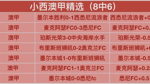 “雄狮队本土球员亮相，海外球员范迪三兄弟无缘本地联赛赛场”